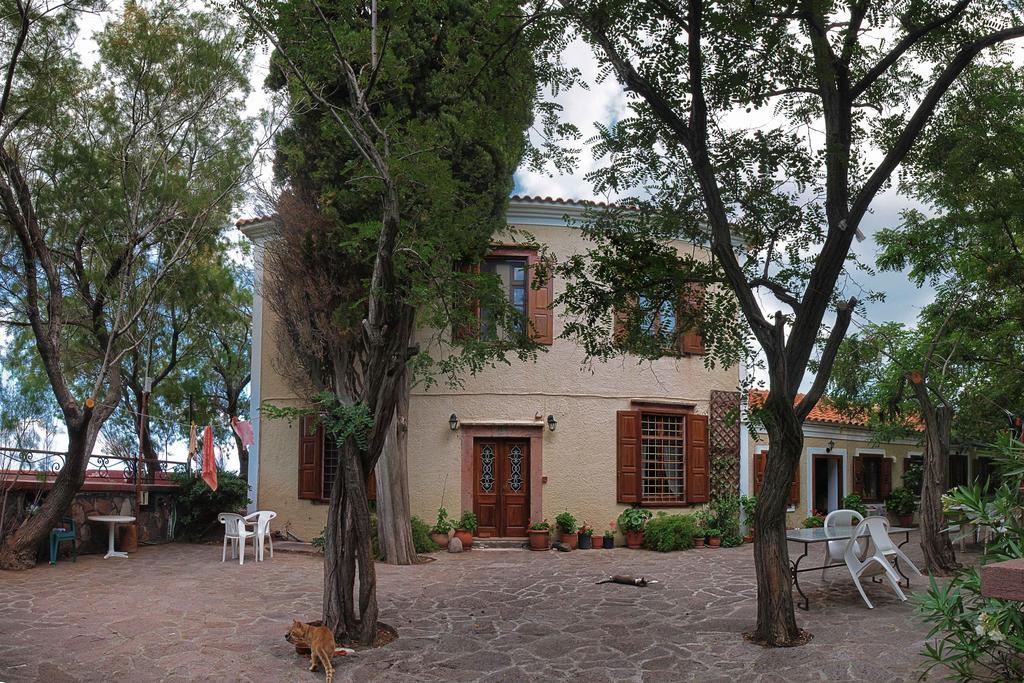 Lela Kaptani Eftalou Olive Grove Mithymna Exterior photo