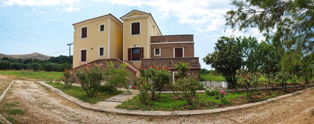 Lela Kaptani Eftalou Olive Grove Mithymna Exterior photo