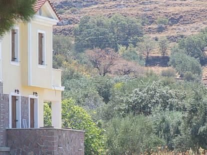 Lela Kaptani Eftalou Olive Grove Mithymna Exterior photo